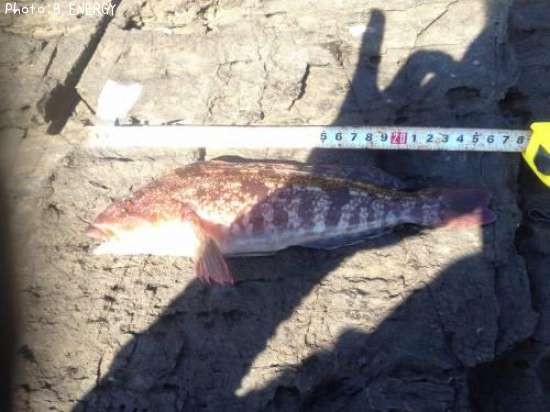 �����ʥ�