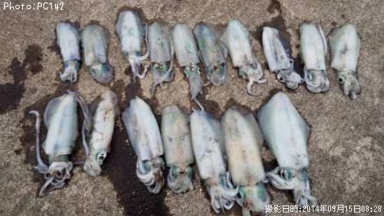 �����ꥤ��