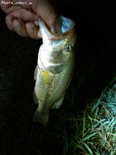 �֥�å��Х�