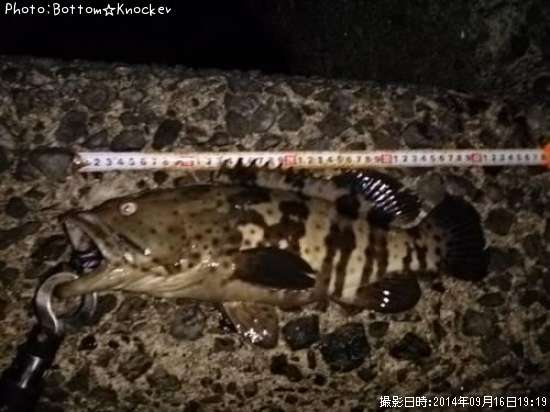 ���㥤���ޥ�ϥ�