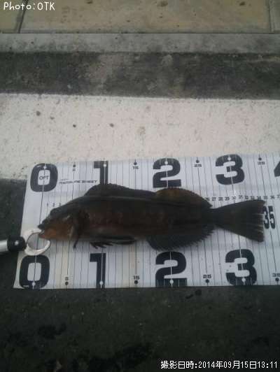 �����ʥ�