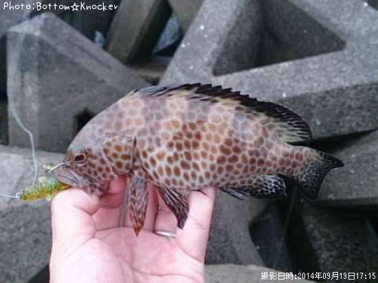 �������ϥ�