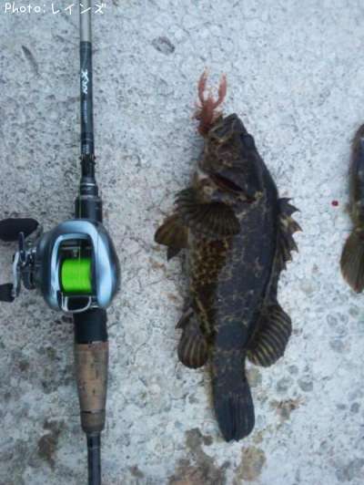 �����Υ���Х�