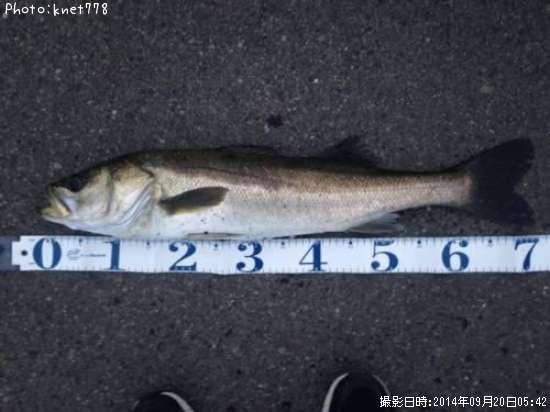 �����Х�