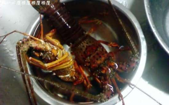 ������Ϸ