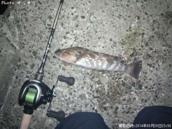 �����ʥ�