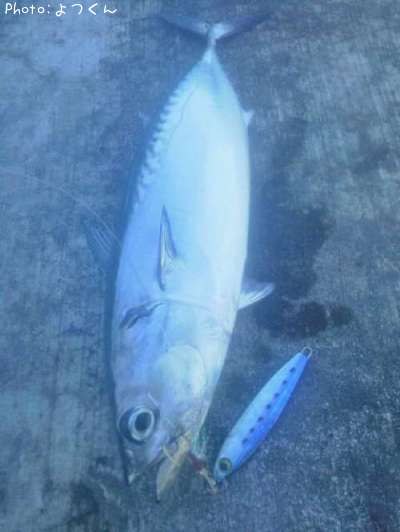 �ҥ饽����