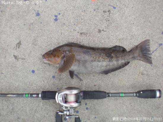 �����ʥ�