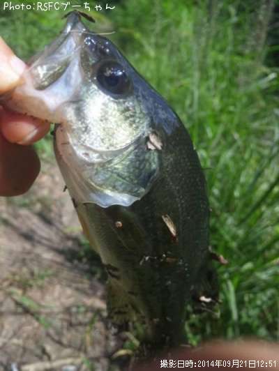 �֥�å��Х�