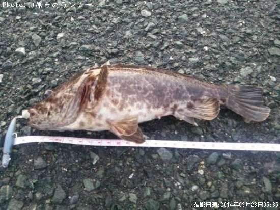 �����Υ���Х�