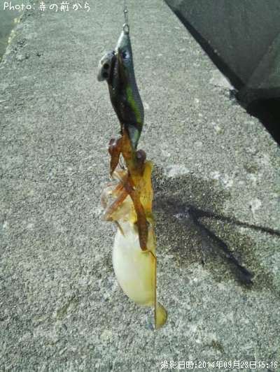 �����ꥤ��