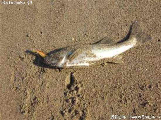 �����Х�