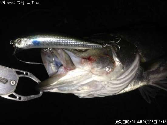 �����Х�