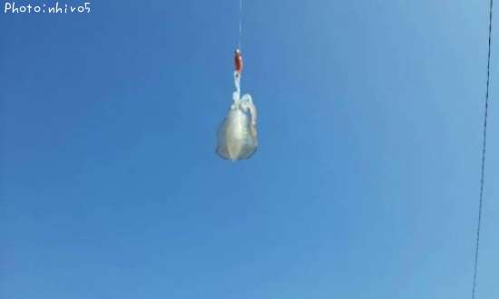 �����ꥤ��