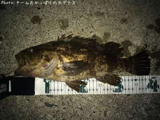 �����Υ���Х�