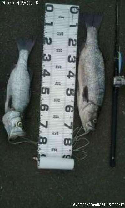 �ҥ饹����