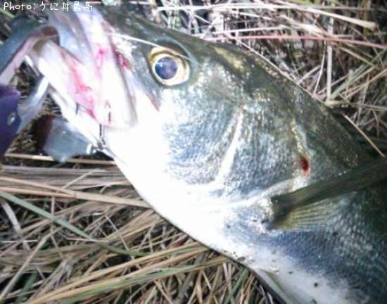 �����Х�