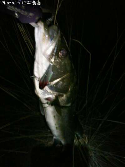 �����Х�