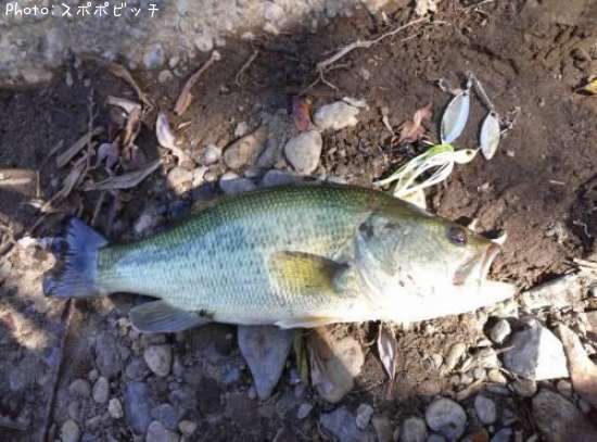 �֥�å��Х�