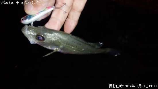 �����Х�