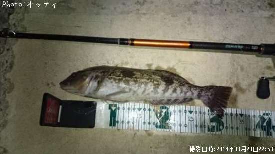 �����ʥ�