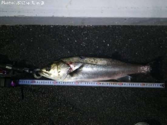 �����Х�