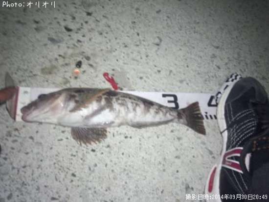 �����ʥ�