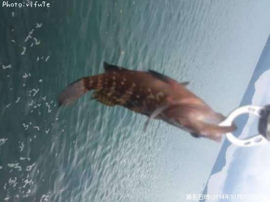 �����ϥ�