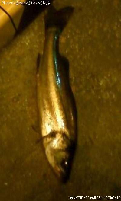 �����Х�