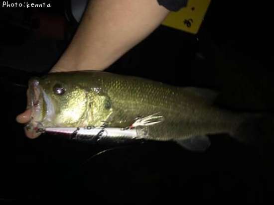 �֥�å��Х�