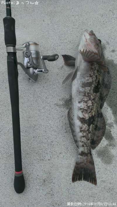 �����ʥ�