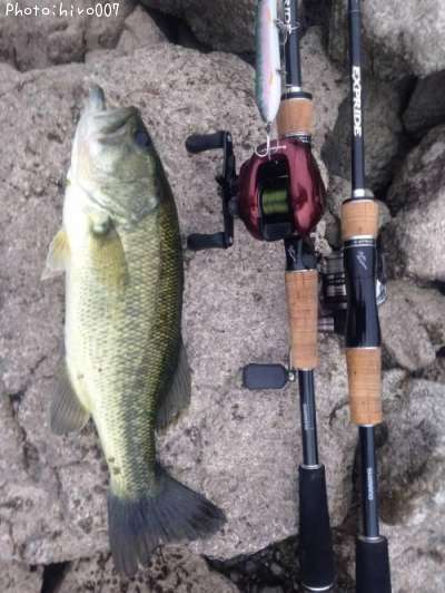 �֥�å��Х�