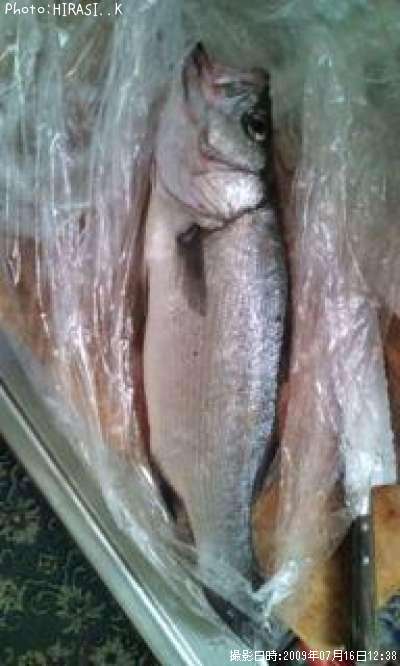 �ҥ饹����