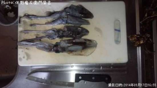 �����ꥤ��