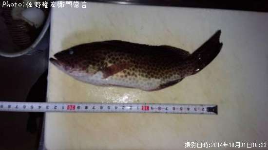 �������ϥ�