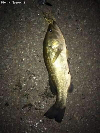 �֥�å��Х�