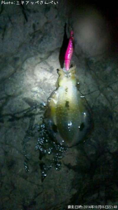 �����ꥤ��