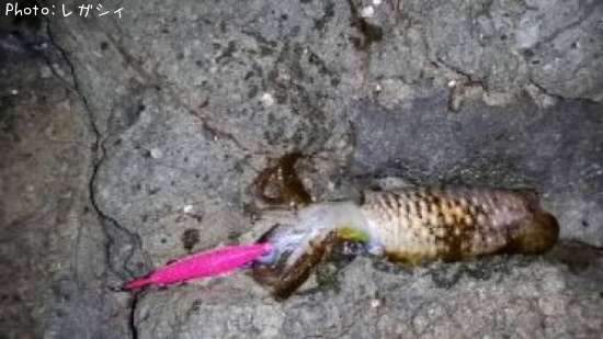 �����ꥤ��