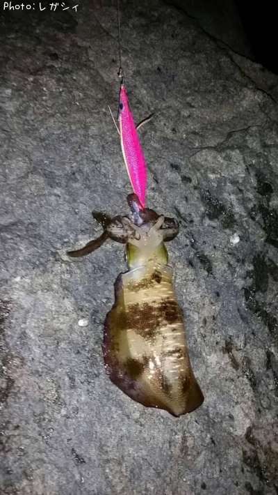 �����ꥤ��