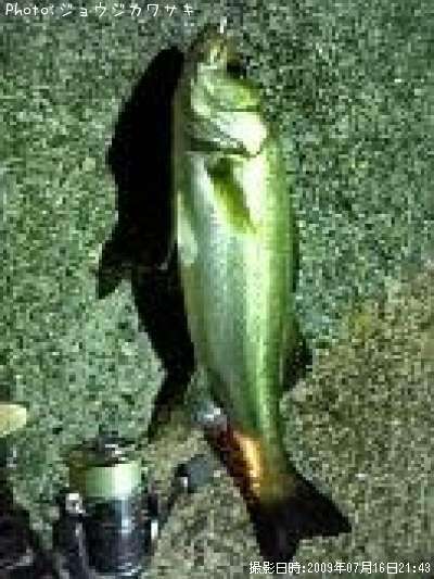 �����Х�