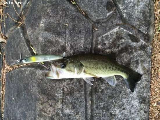 �֥�å��Х�