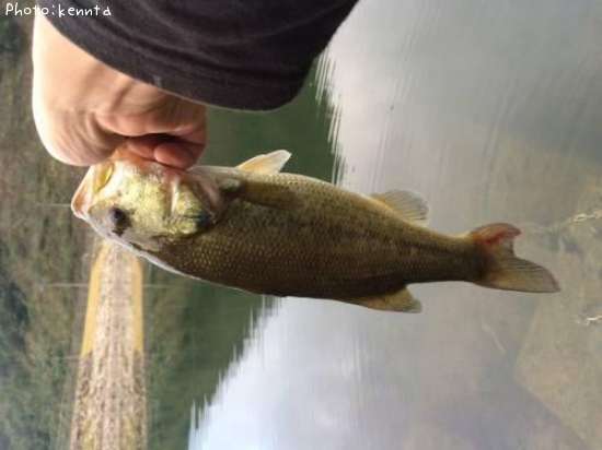 �֥�å��Х�