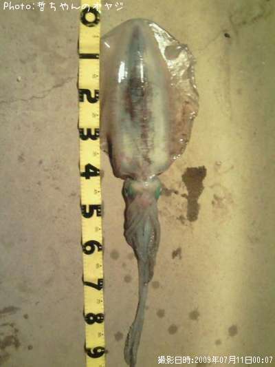 �����ꥤ��