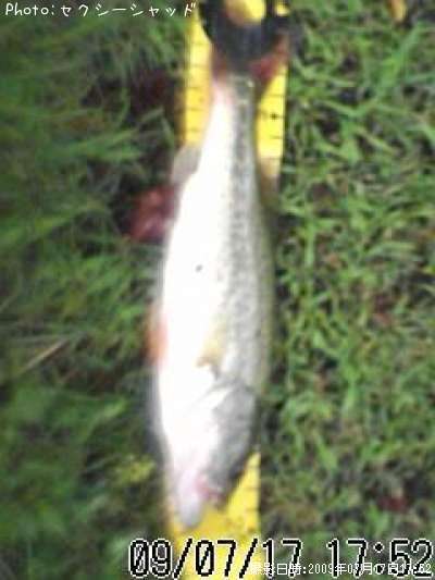 �֥�å��Х�