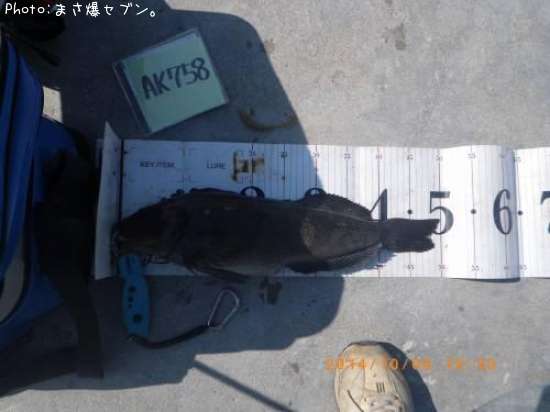 �����ʥ�