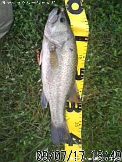 �֥�å��Х�