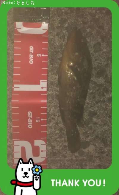 �������ϥ���