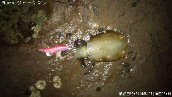 �����ꥤ��