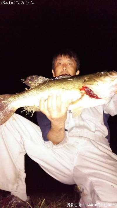 �֥�å��Х�