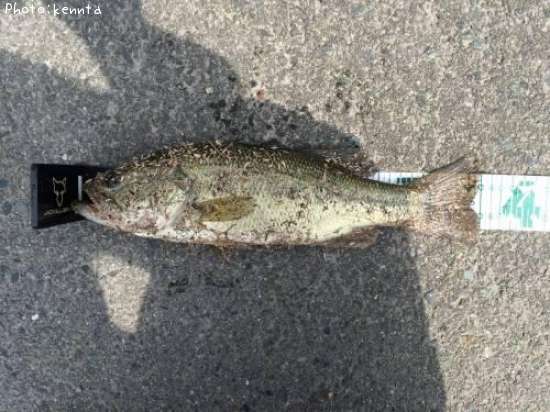 �֥�å��Х�